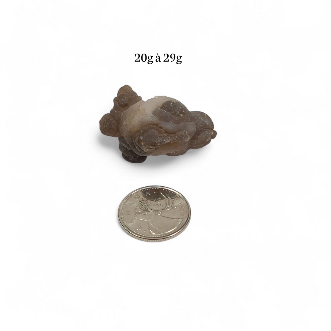 Agate Panda Brute