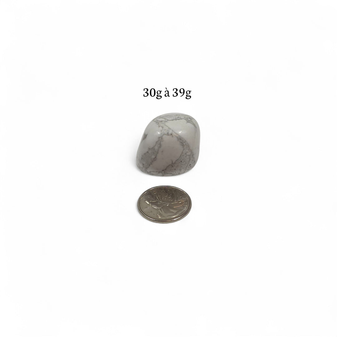 Howlite roulée polie 30 à 39 grammes photographiée à côté d’une pièce de 25 cents pour illustrer la taille.