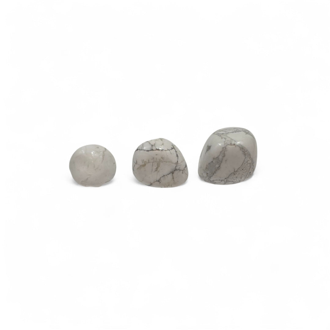 Trois Howlite roulées de tailles différentes placées côte à côte pour comparaison visuelle de la grosseur.