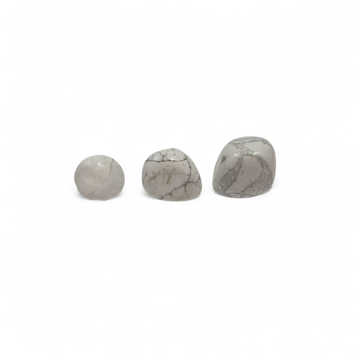 Trois Howlite roulées de tailles différentes placées côte à côte pour comparaison visuelle de la grosseur.