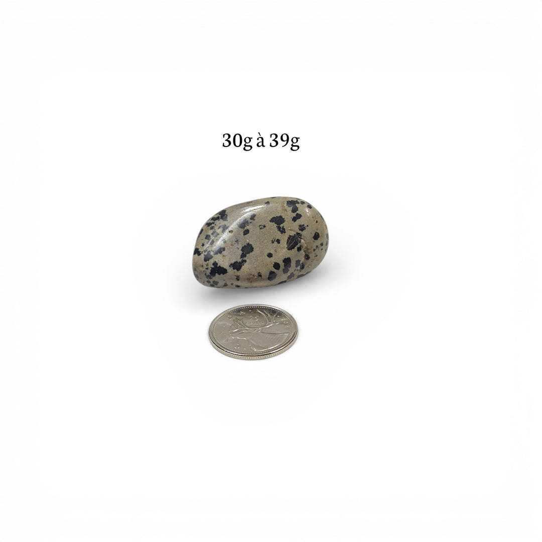 Jaspe Dalmatien Roulée