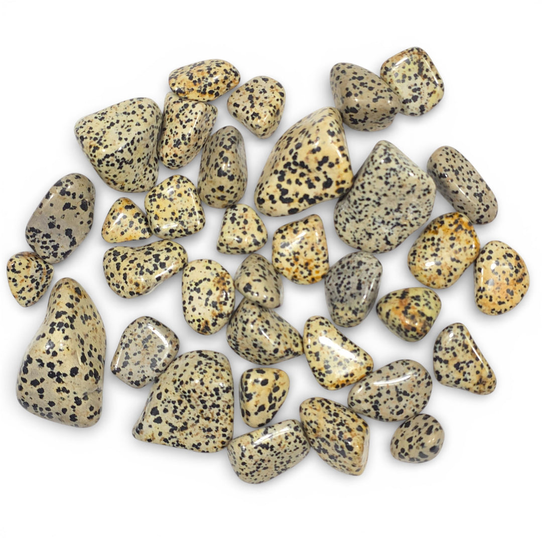 Jaspe Dalmatien Roulée