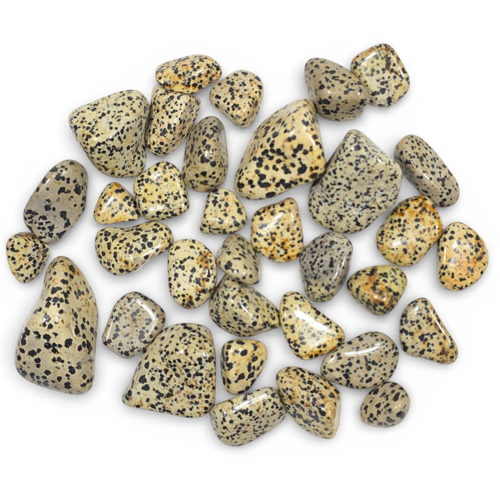 Jaspe Dalmatien Roulée