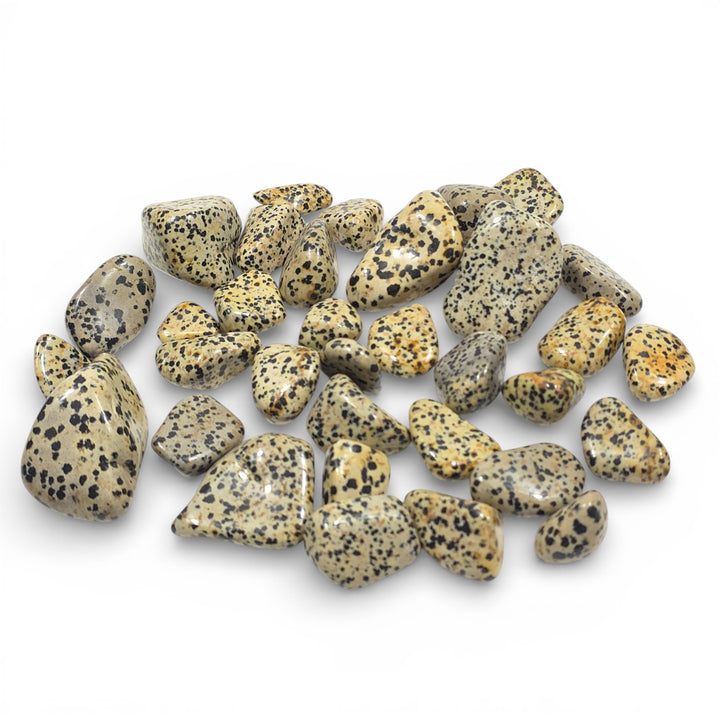 Jaspe Dalmatien Roulée