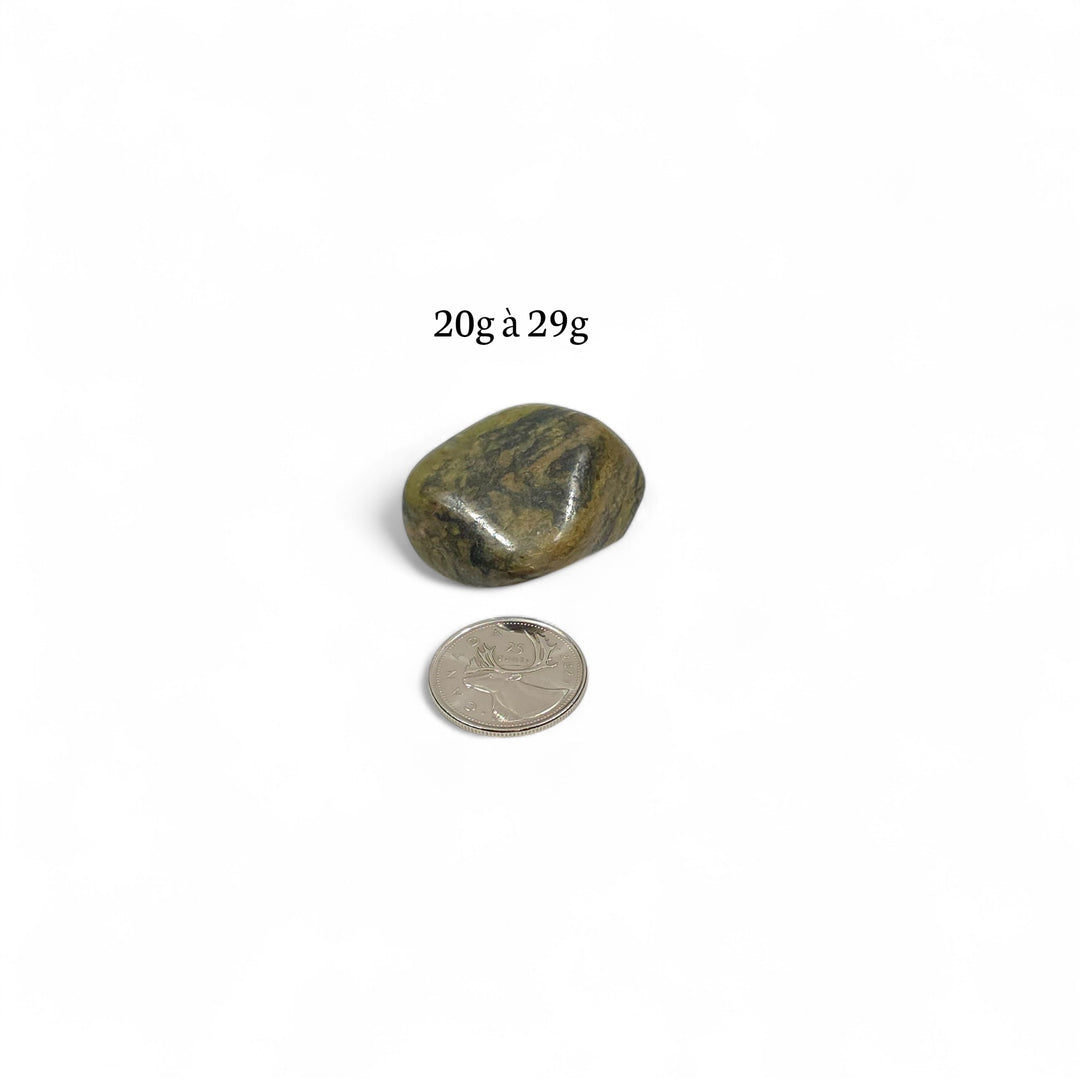 Jaspe vert poli pesant entre 20g et 29g, présenté à côté d’une pièce de 25 cents pour comparaison de taille.