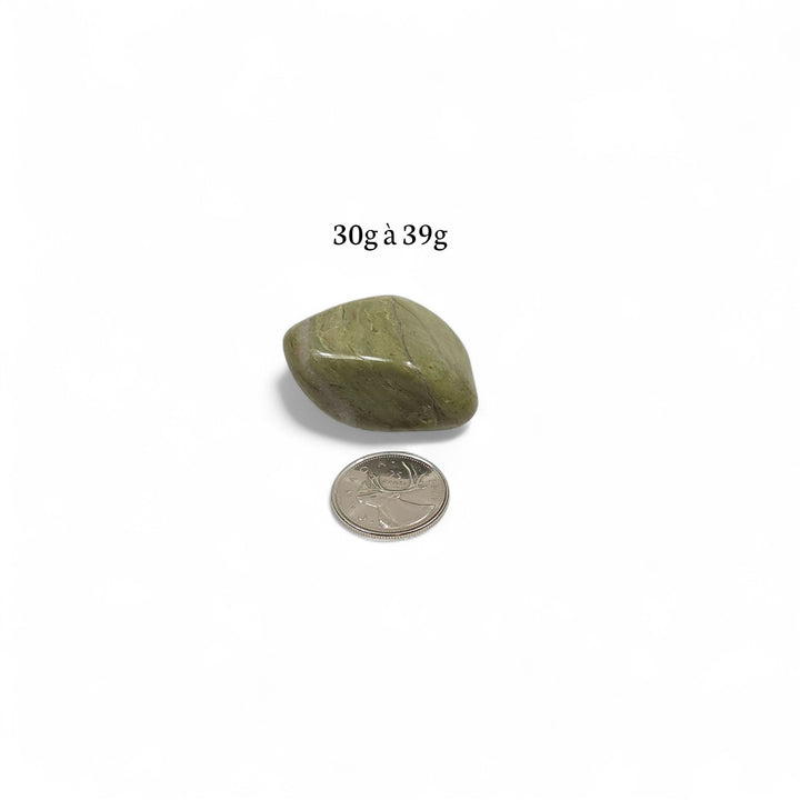 Jaspe vert poli en pierre roulée pesant entre 30g et 39g, photographié avec une pièce de 25 cents servant de repère visuel.
