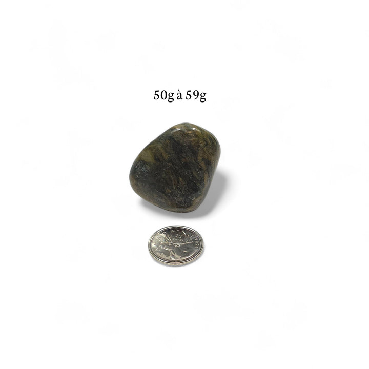 Jaspe vert poli pesant entre 50g et 59g, photographié à côté d’une pièce de 25 cents pour comparaison visuelle.