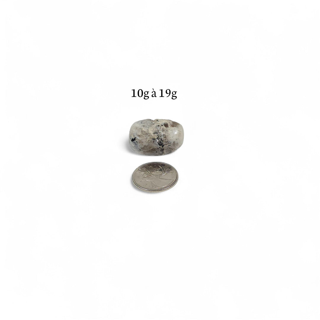 Pierre roulée Labradorite Blanche polie, 10g à 19g, pierre d’élévation et de clarté, avec pièce de 25 cents en repère.