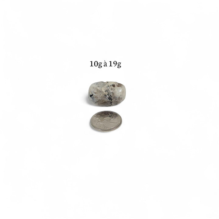 Pierre roulée Labradorite Blanche polie, 10g à 19g, pierre d’élévation et de clarté, avec pièce de 25 cents en repère.