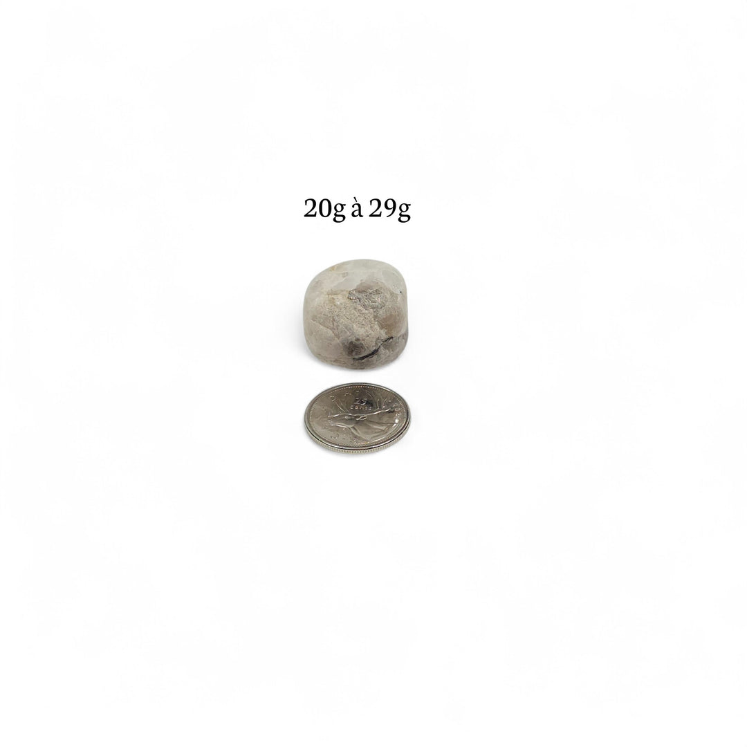 Labradorite Blanche polie, poids entre 20g et 29g, pierre spirituelle du chakra Coronal, photographiée avec pièce de 25 cents pour comparaison visuelle.