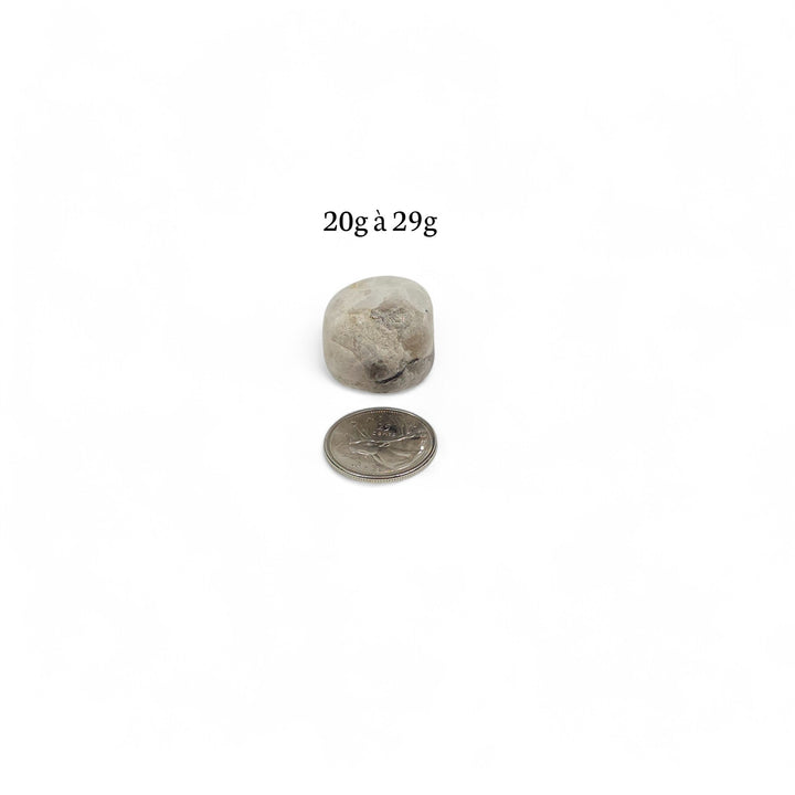 Labradorite Blanche polie, poids entre 20g et 29g, pierre spirituelle du chakra Coronal, photographiée avec pièce de 25 cents pour comparaison visuelle.