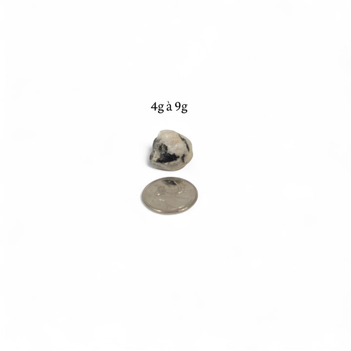 Labradorite Blanche polie pesant entre 4g et 9g, présentée à côté d’une pièce de 25 cents pour comparaison visuelle.