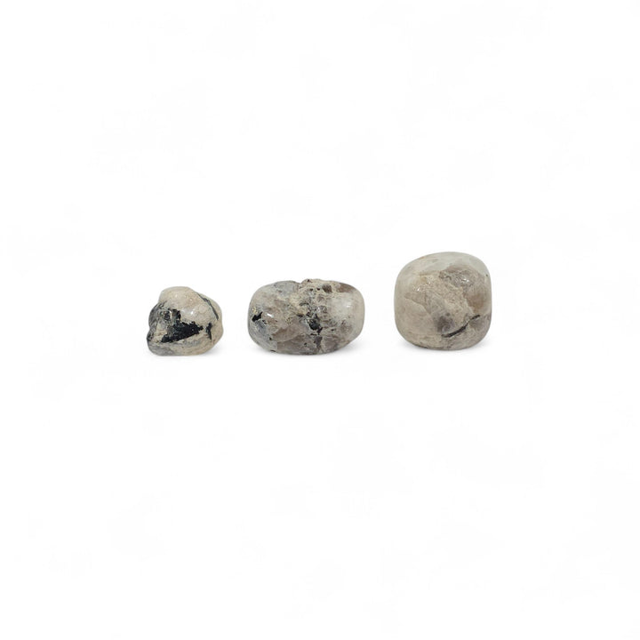 Trois Labradorites Blanches polies côte à côte pour montrer nuances, tailles et reflets naturels.