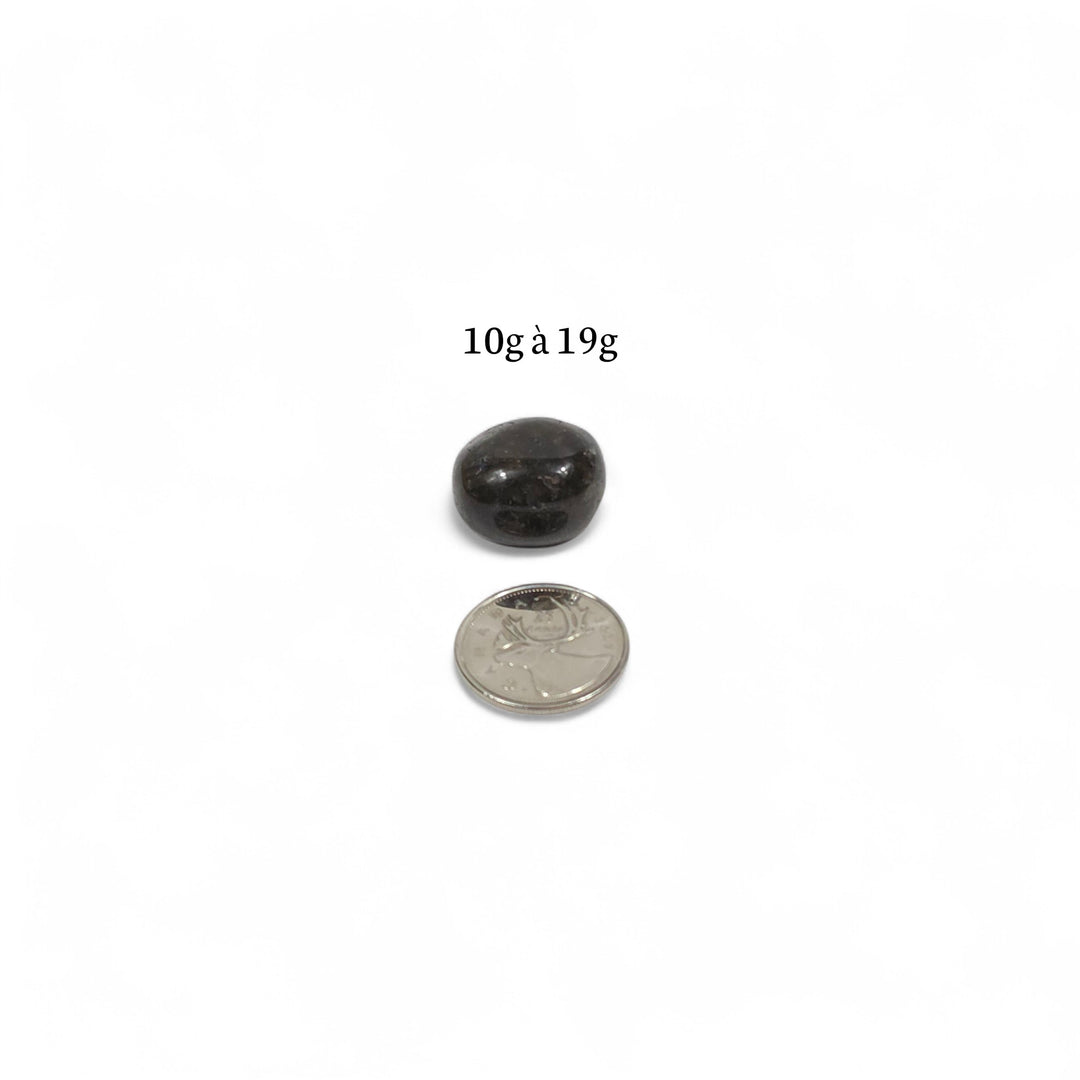 Labradorite roulée foncée de Madagascar, poids entre 10g et 19g, présentée à côté d’une pièce de 25 cents pour comparaison visuelle.