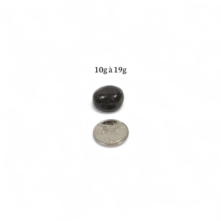 Labradorite roulée foncée de Madagascar, poids entre 10g et 19g, présentée à côté d’une pièce de 25 cents pour comparaison visuelle.
