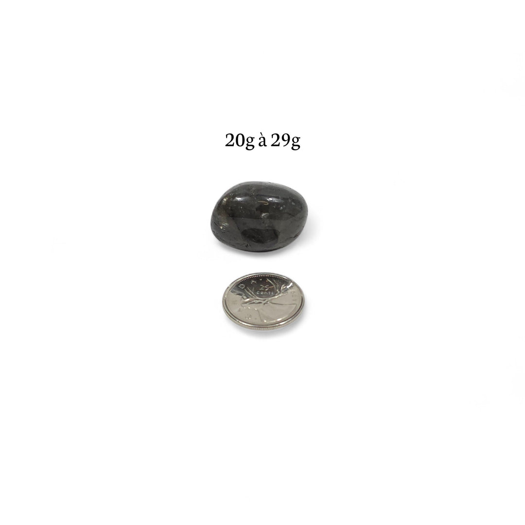 Labradorite foncée roulée polie, entre 20g et 29g, pierre d’ancrage et de vérité intérieure, avec pièce de 25 cents en repère.