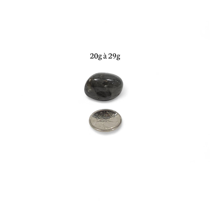 Labradorite foncée roulée polie, entre 20g et 29g, pierre d’ancrage et de vérité intérieure, avec pièce de 25 cents en repère.