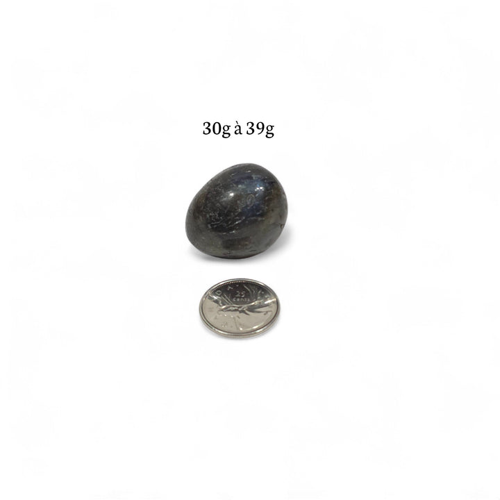 Labradorite roulée foncée, poids de 30g à 39g, pierre de protection et de discernement, photographiée avec pièce de 25 cents pour référence.