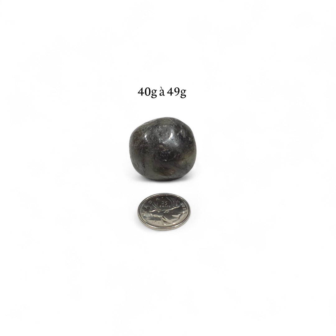 Labradorite roulée foncée, poids de 40g à 49g, photographiée avec pièce de 25 cents pour comparaison visuelle.
