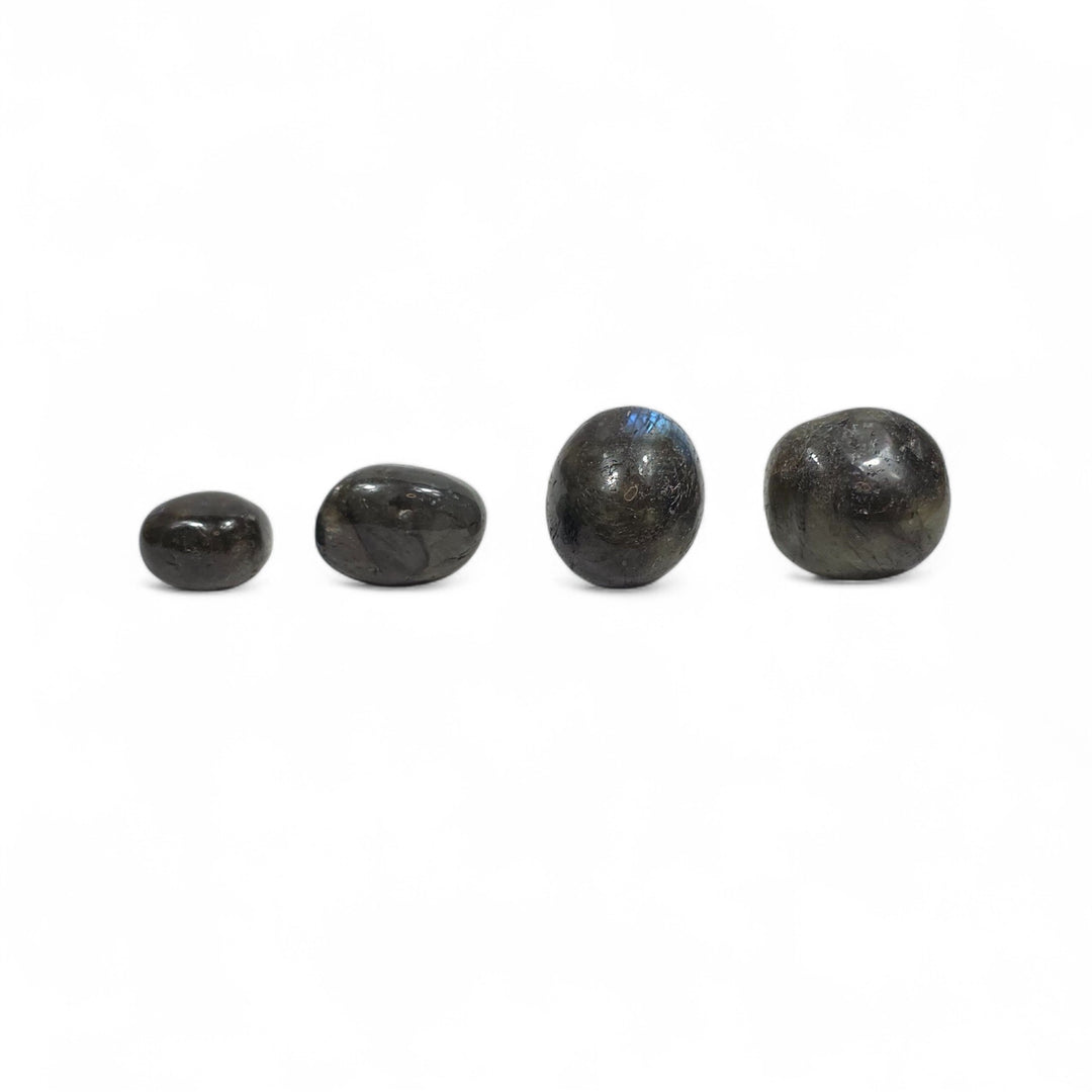 Quatre pierres roulées de Labradorite foncée côte à côte, montrant leurs nuances naturelles et reflets subtils.