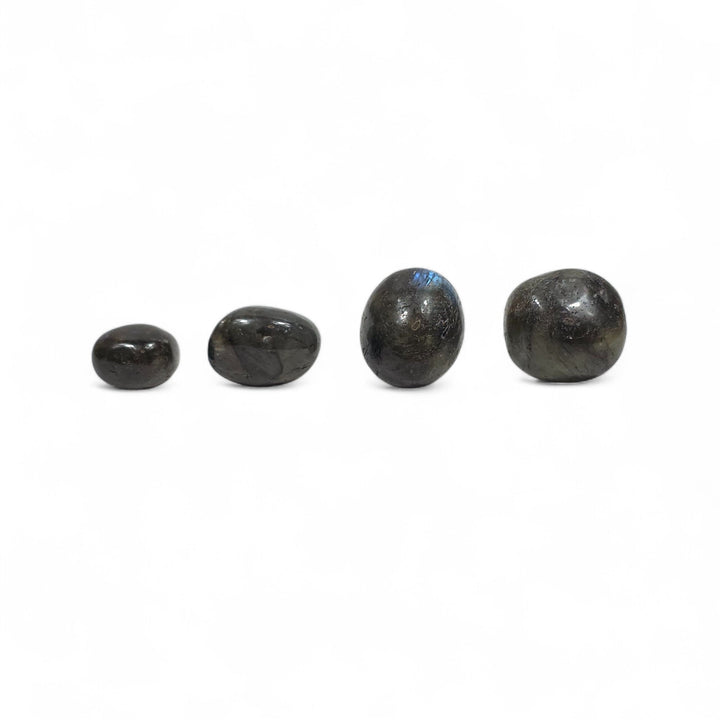 Quatre pierres roulées de Labradorite foncée côte à côte, montrant leurs nuances naturelles et reflets subtils.