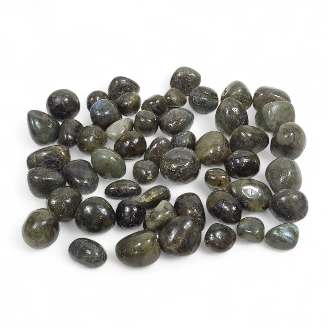 Labradorite roulée foncée (Madagascar) – pierre de protection reliée au chakra du Troisième Œil, nuances sombres et reflets discrets.