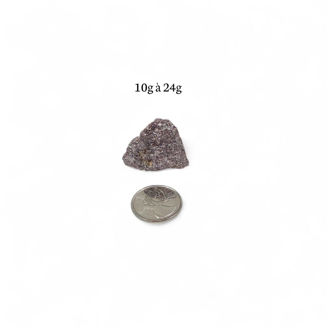 Lépidolite brute pesant entre 10g et 24g, présentée à côté d’une pièce de 25 cents pour comparaison visuelle de la taille.