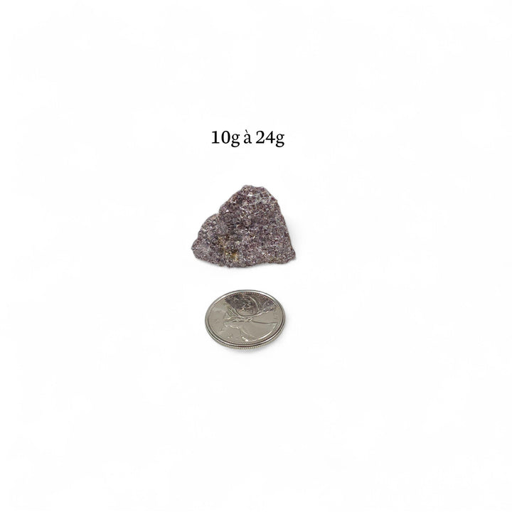 Lépidolite brute pesant entre 10g et 24g, présentée à côté d’une pièce de 25 cents pour comparaison visuelle de la taille.
