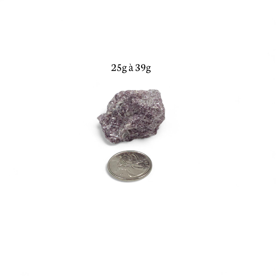 Lépidolite brute pesant entre 25g et 39g, avec pièce de 25 cents servant de repère pour illustrer la dimension réelle.