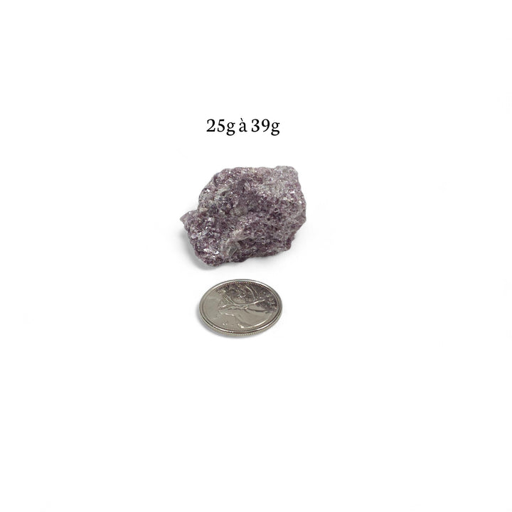 Lépidolite brute pesant entre 25g et 39g, avec pièce de 25 cents servant de repère pour illustrer la dimension réelle.