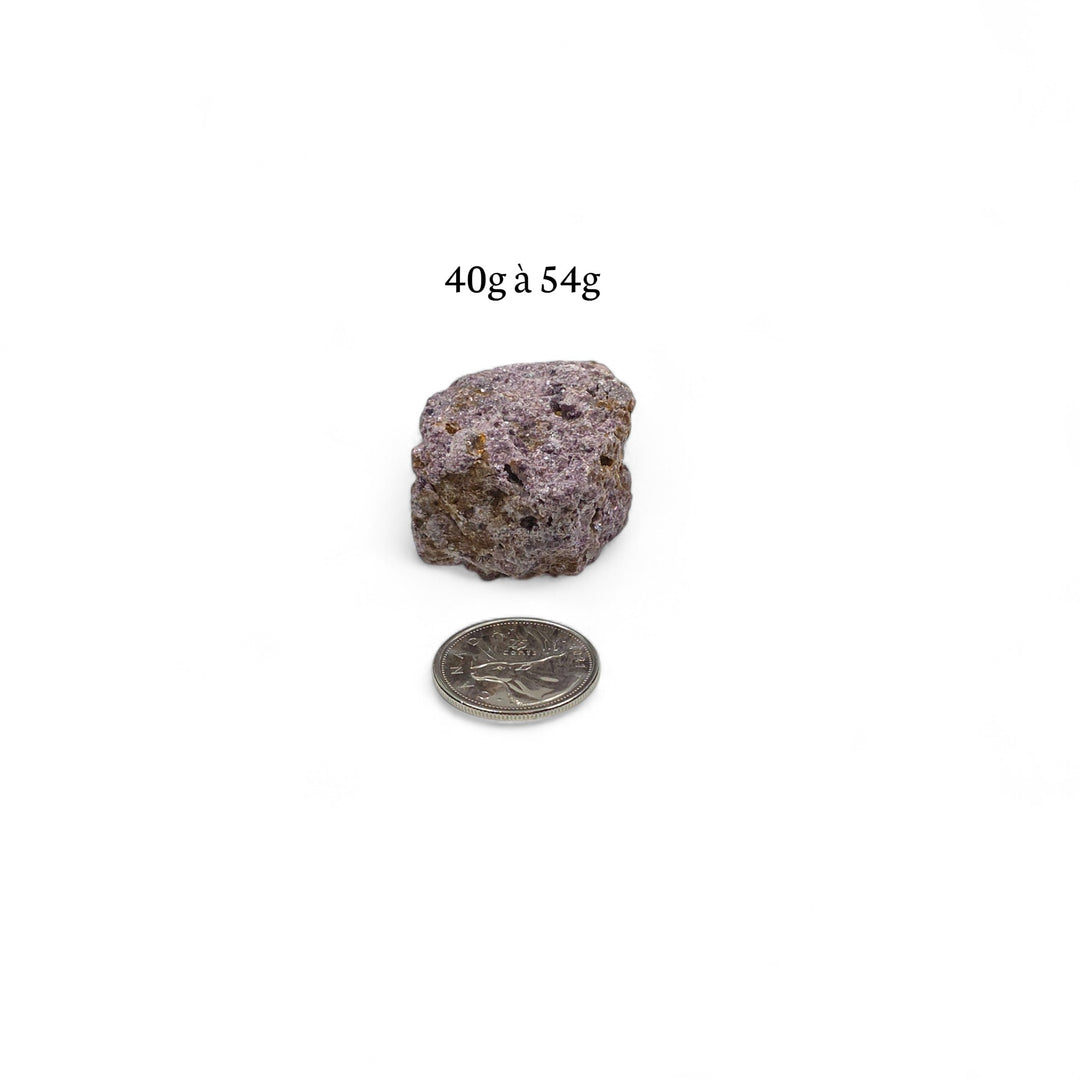 Lépidolite brute pesant entre 40g et 54g, photographiée avec une pièce de 25 cents pour donner une idée précise de la taille.