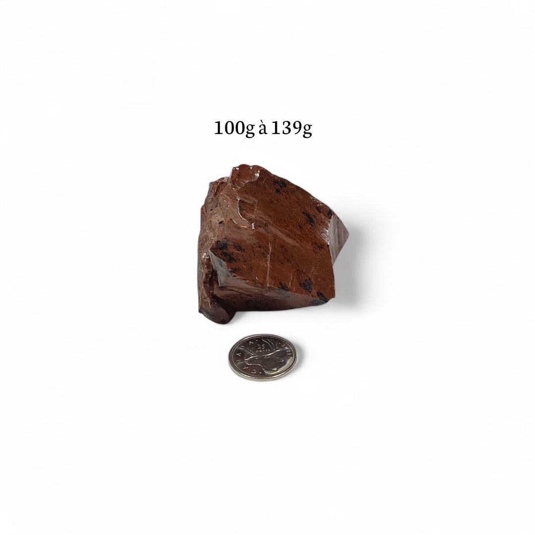 Obsidienne Acajou brute 100 à 139 grammes, placée près d’une pièce de 25 cents servant de référence visuelle.
