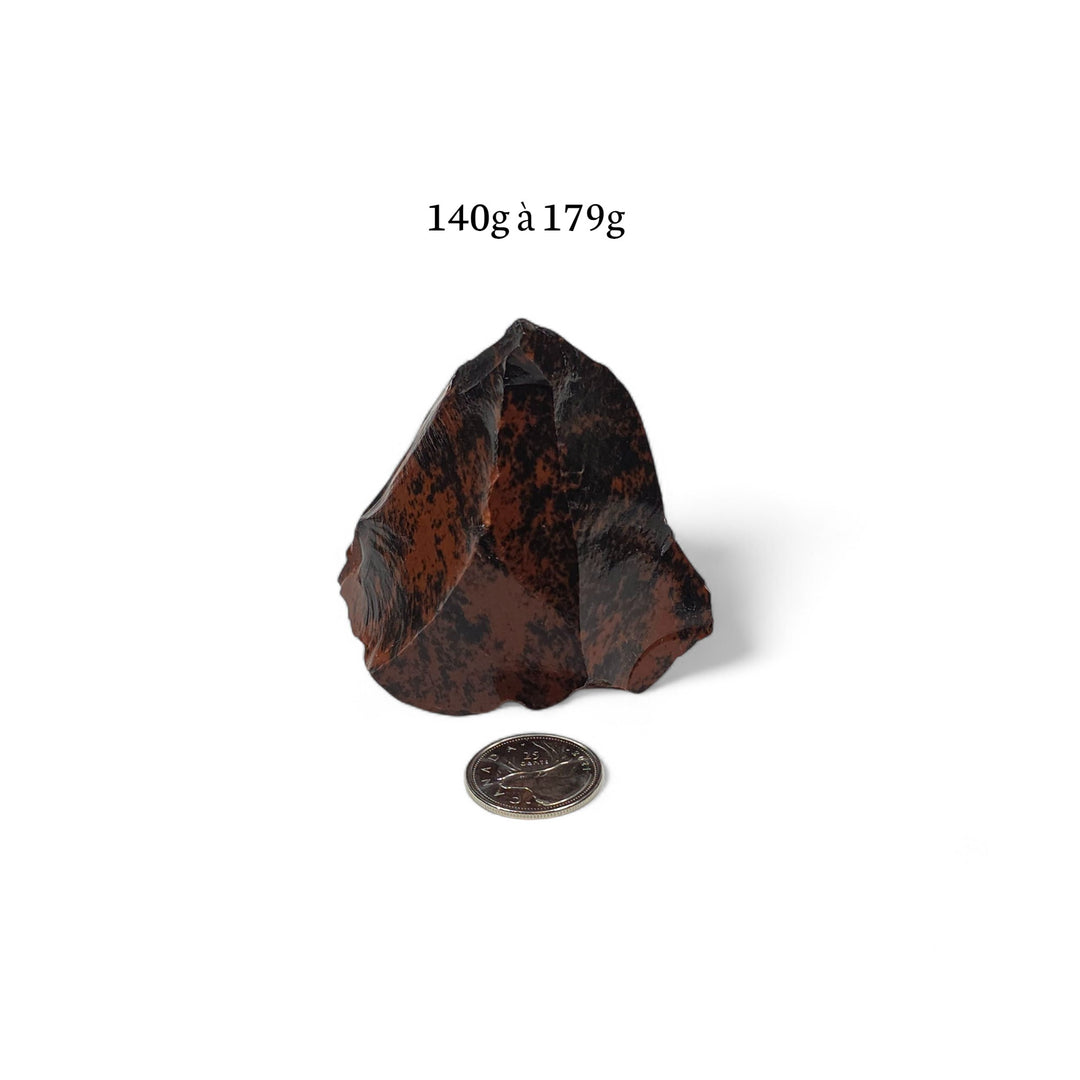 Obsidienne Acajou brute 140 à 179 grammes, présentée à côté d’une pièce de 25 cents pour donner une idée claire de la taille.