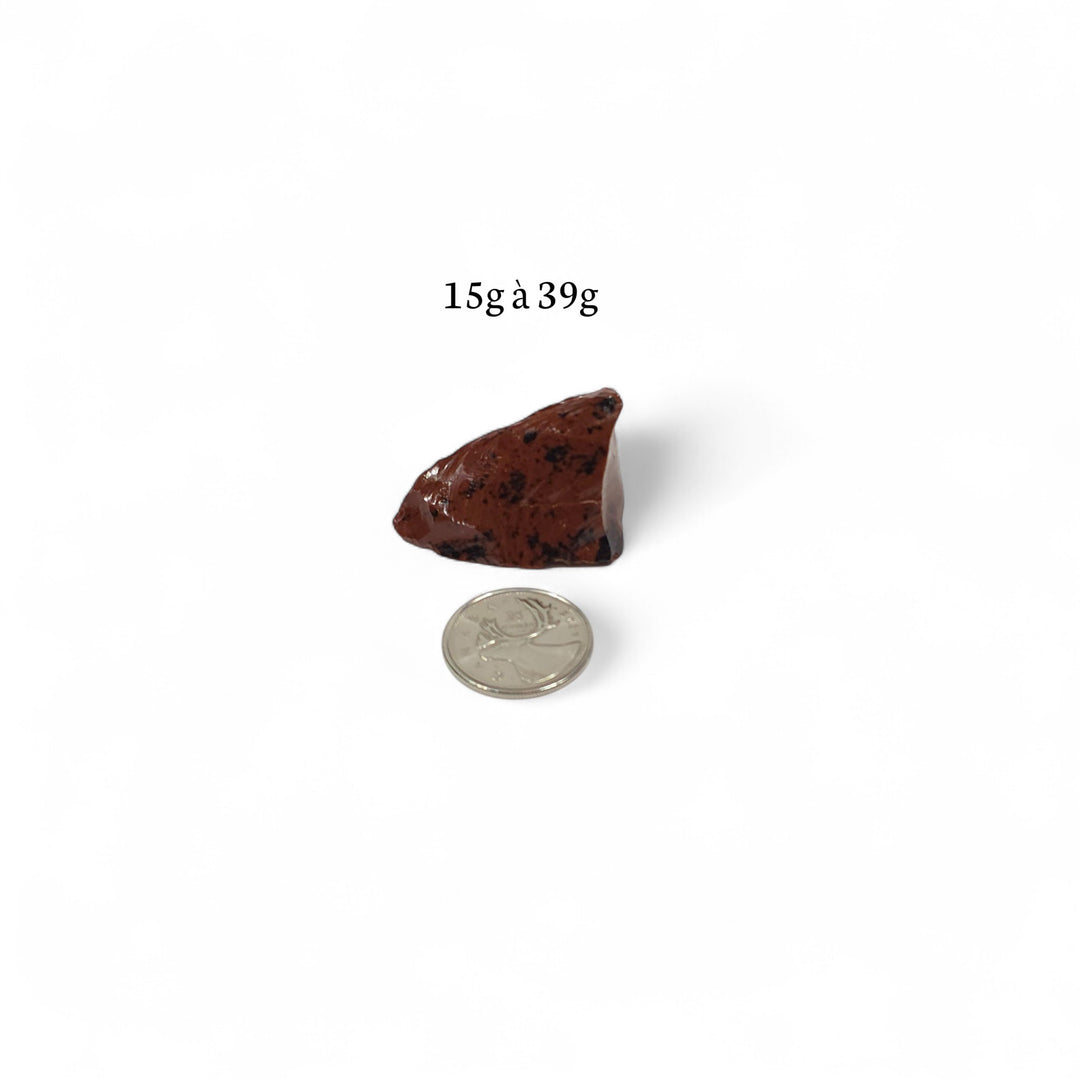 Obsidienne Acajou brute entre 15 et 39 grammes, photographiée à côté d’une pièce de 25 cents servant de repère visuel.