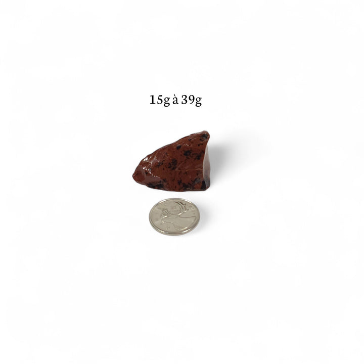 Obsidienne Acajou brute entre 15 et 39 grammes, photographiée à côté d’une pièce de 25 cents servant de repère visuel.
