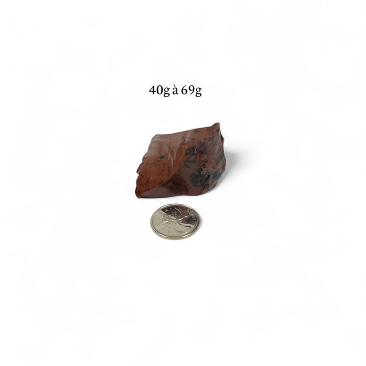 Obsidienne Acajou brute entre 40 et 69 grammes, présentée à côté d’une pièce de 25 cents pour illustrer la dimension réelle.