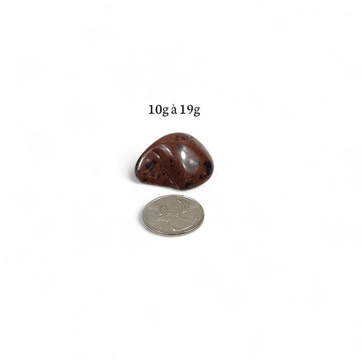 Obsidienne Acajou polie pesant entre 10g et 19g, pierre d’ancrage protectrice avec pièce de 25 cents en repère.