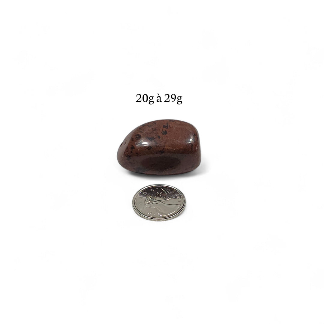 Pierre roulée Obsidienne Acajou pesant entre 20g et 29g, photographiée avec pièce de 25 cents pour montrer la taille réelle.