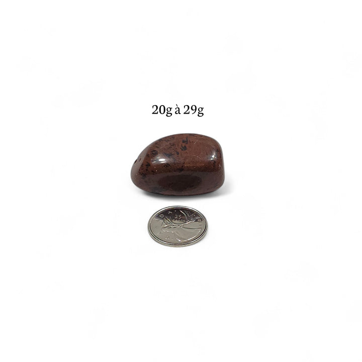 Pierre roulée Obsidienne Acajou pesant entre 20g et 29g, photographiée avec pièce de 25 cents pour montrer la taille réelle.