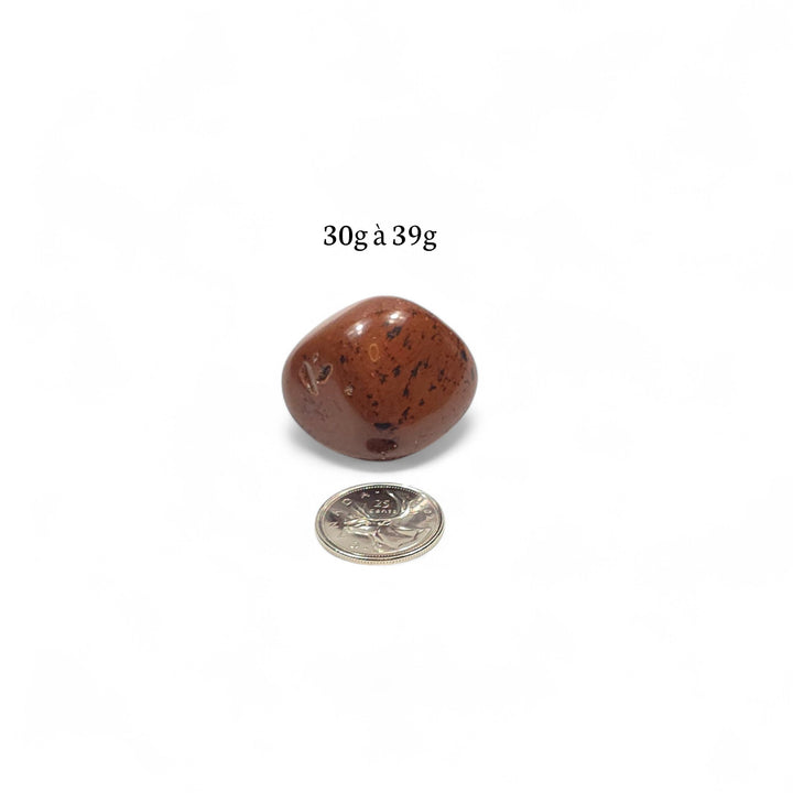 Obsidienne Acajou polie pesant entre 30g et 39g, pierre présentée à côté d’une pièce de 25 cents pour comparaison visuelle.