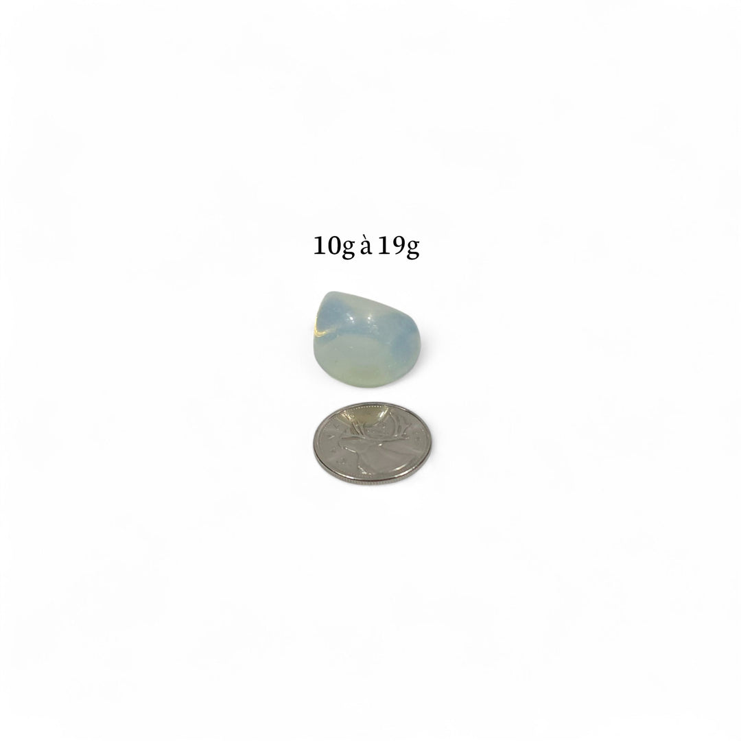 Opalite polie, 10g à 19g, pierre de verre apaisante, présentée avec pièce de 25 cents pour comparaison visuelle.