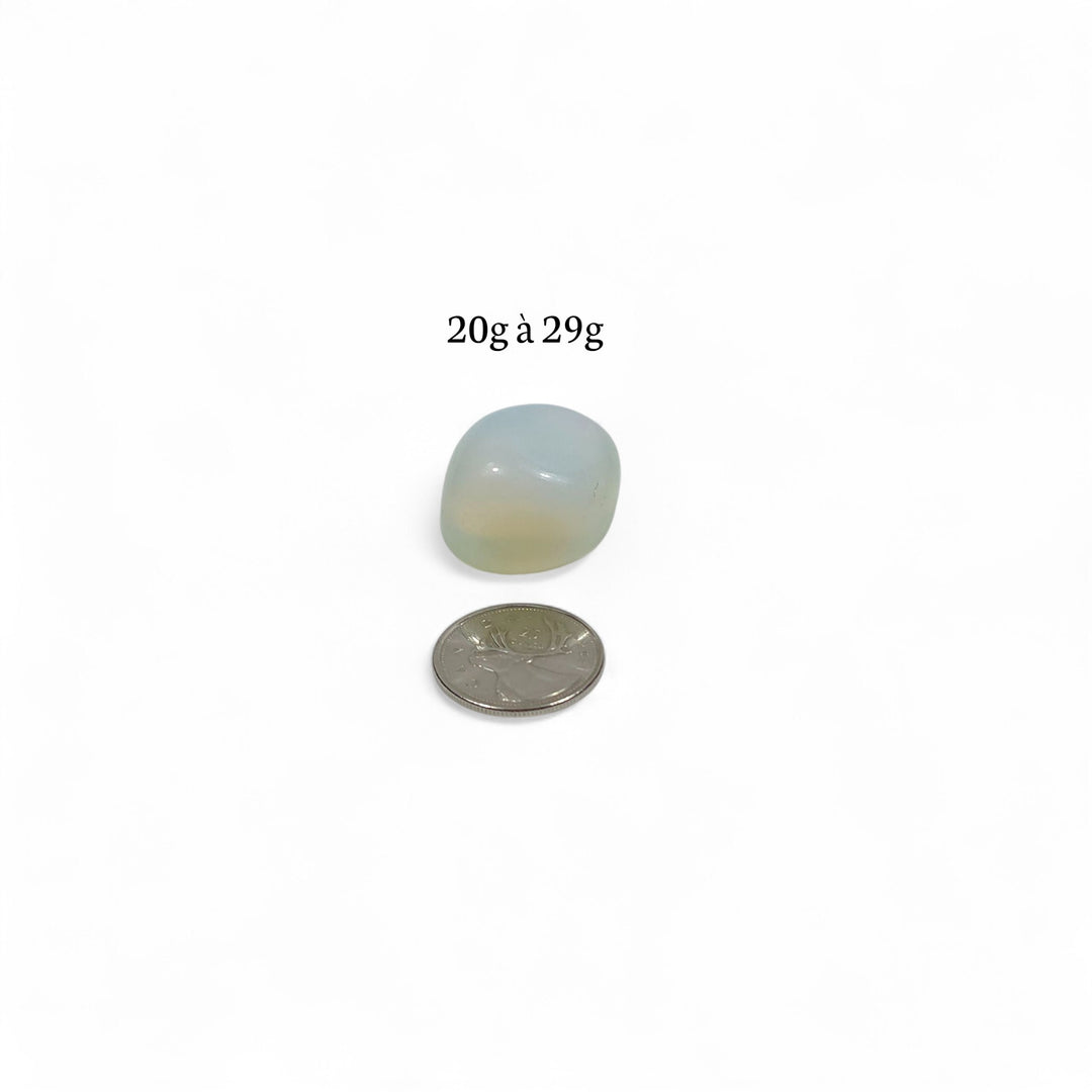 Opalite polie, 20g à 29g, pierre de sérénité et d’harmonie, accompagnée d’une pièce de 25 cents pour repère.