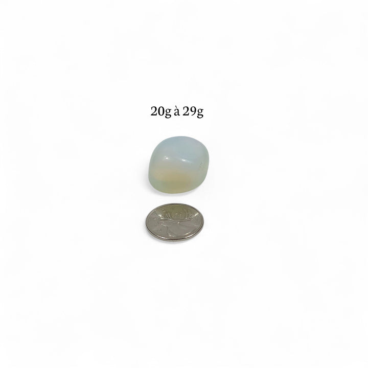 Opalite polie, 20g à 29g, pierre de sérénité et d’harmonie, accompagnée d’une pièce de 25 cents pour repère.