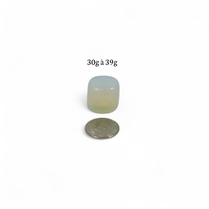 Opalite polie, 30g à 39g, photographiée avec pièce de 25 cents pour comparaison visuelle.