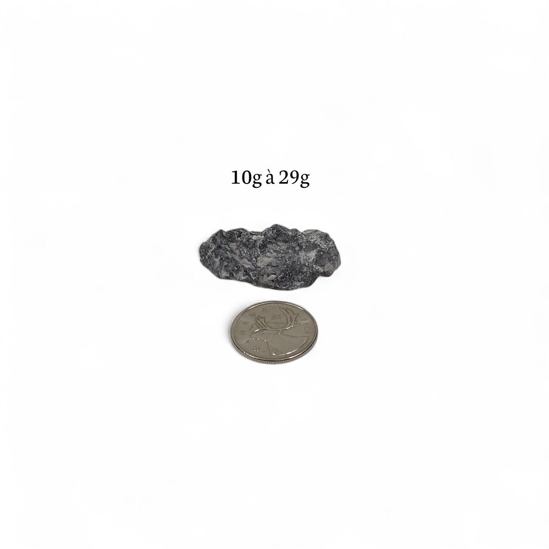 Pinolite brute 10 à 29 grammes, présentée à côté d’une pièce de 25 cents pour comparaison visuelle de la taille.