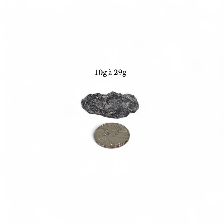 Pinolite brute 10 à 29 grammes, présentée à côté d’une pièce de 25 cents pour comparaison visuelle de la taille.