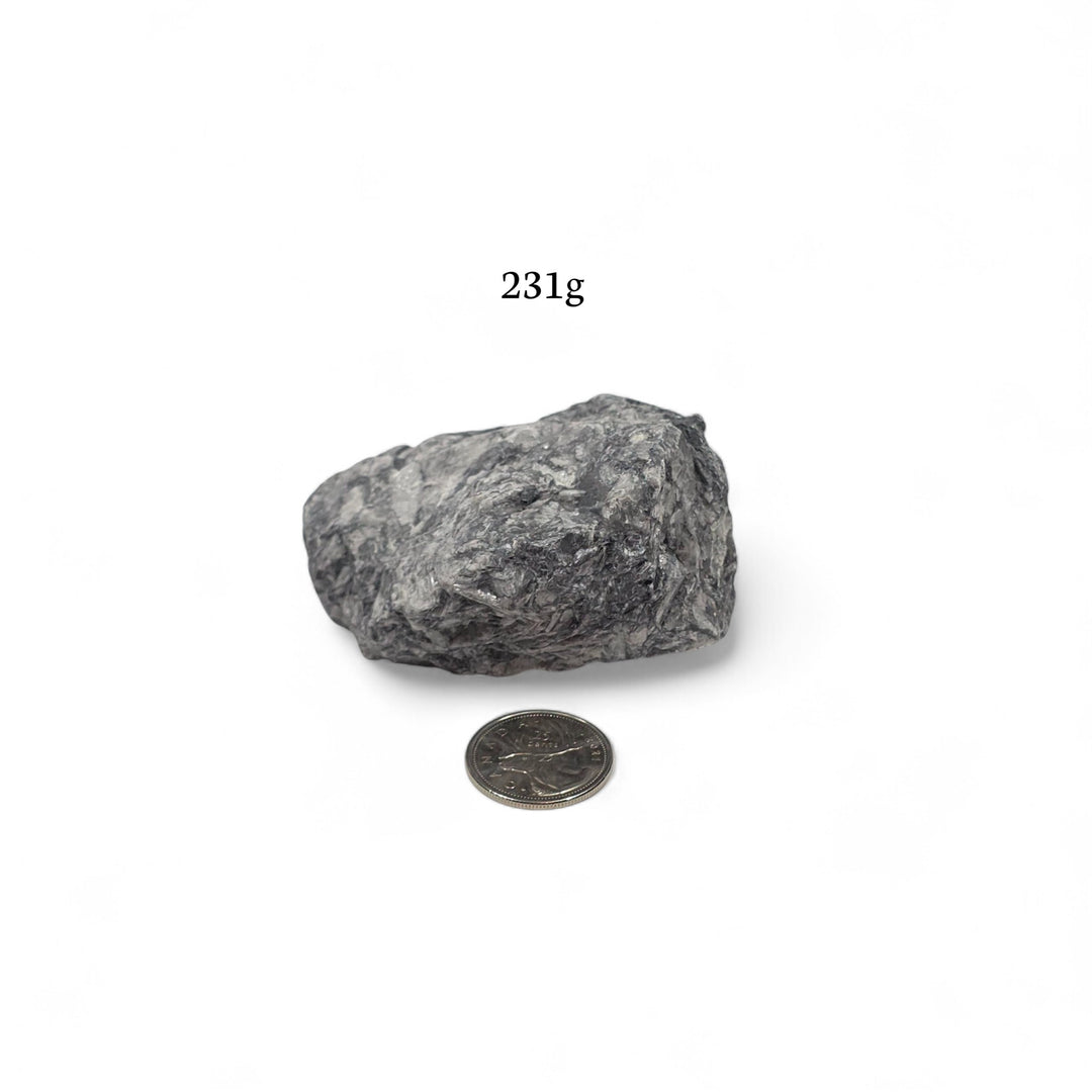 Pinolite brute de 231 grammes, présentée à côté d’une pièce de 25 cents pour illustrer la dimension.