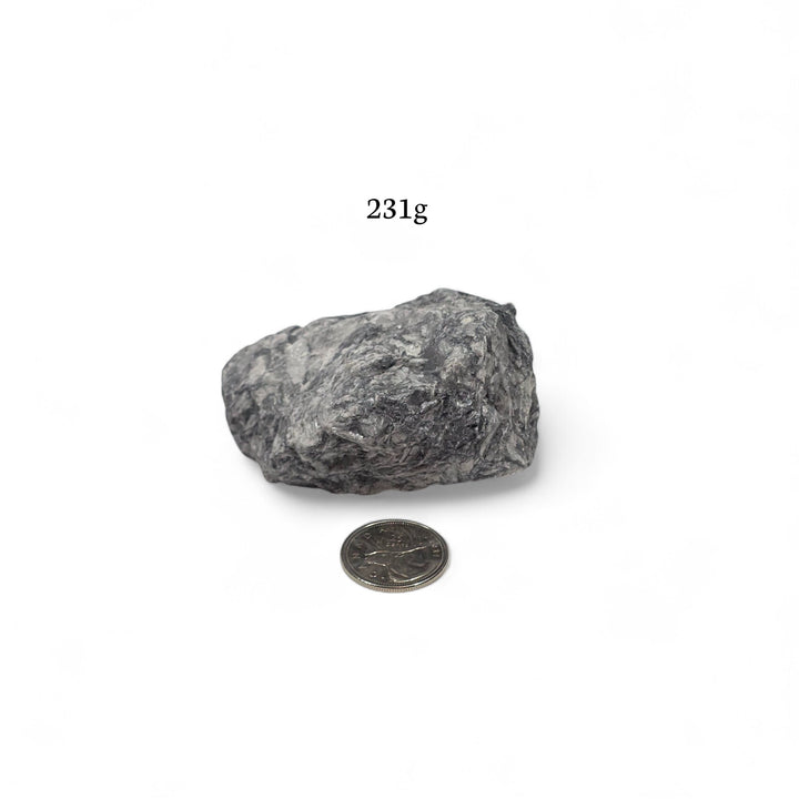 Pinolite brute de 231 grammes, présentée à côté d’une pièce de 25 cents pour illustrer la dimension.