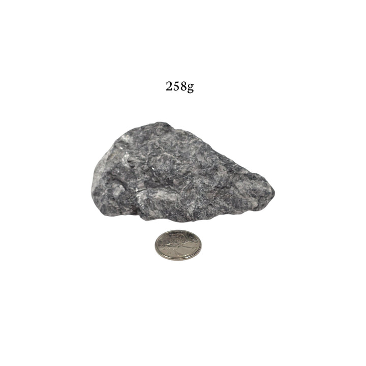 Pinolite brute de 258 grammes, présentée à côté d’une pièce de 25 cents pour comparaison visuelle de la taille.