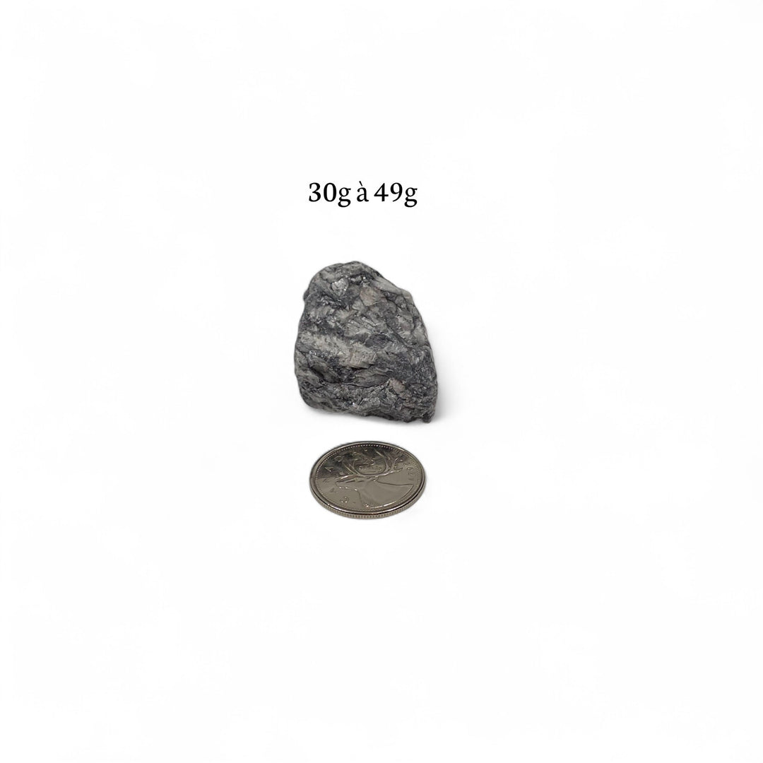 Pinolite brute 30 à 49 grammes, photographiée à côté d’une pièce de 25 cents servant de repère visuel.